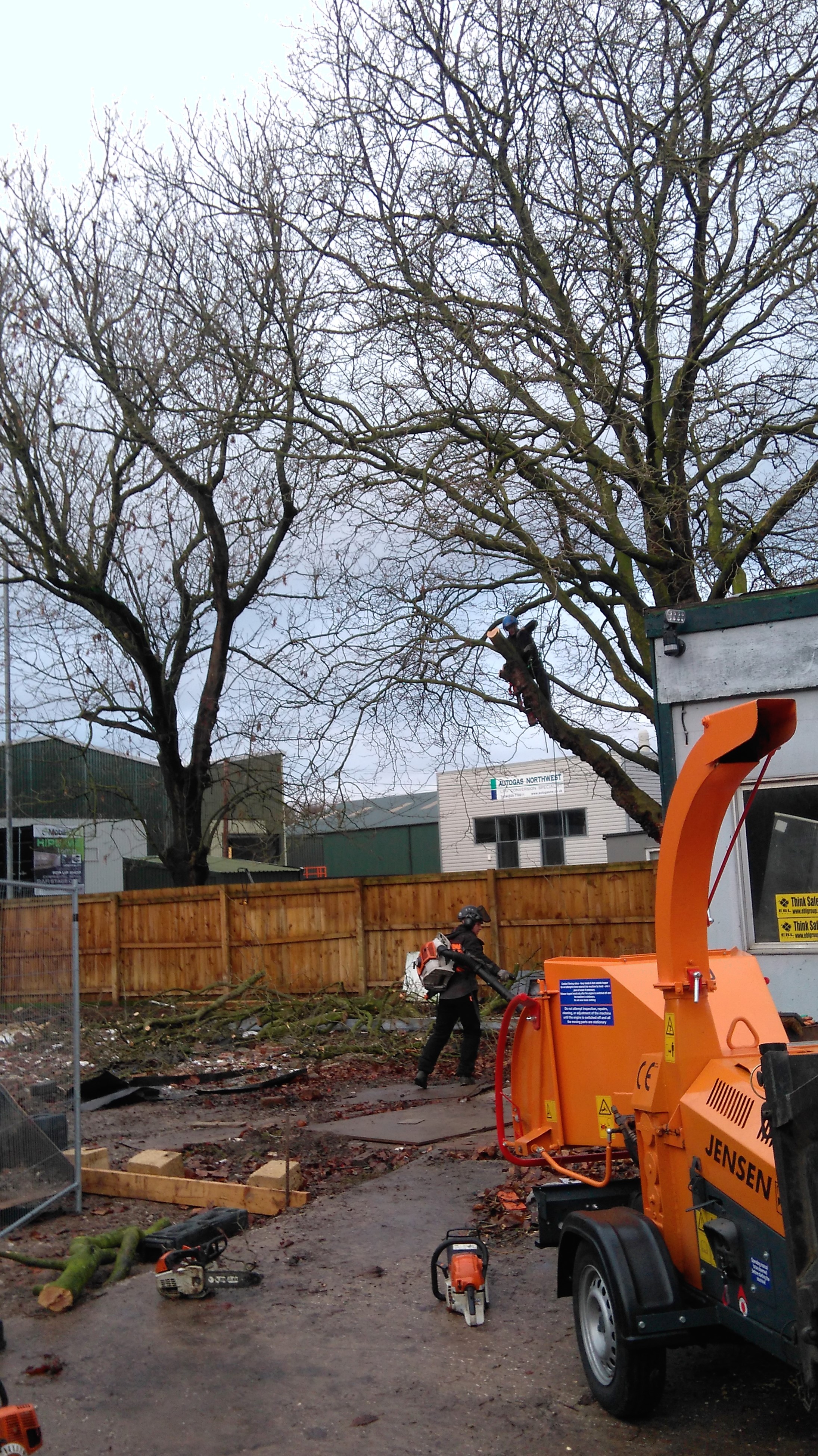 Tree pruning, Frodsham