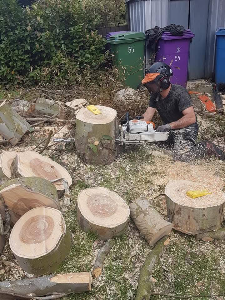 Tree stump removal being performed