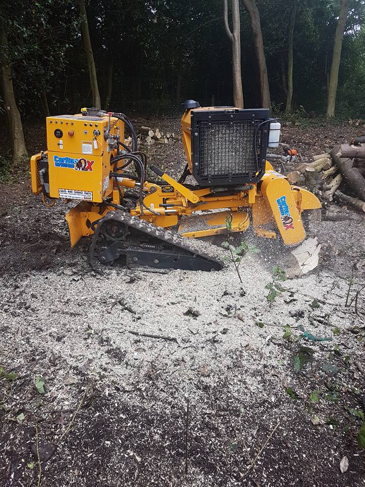 Stump grinding