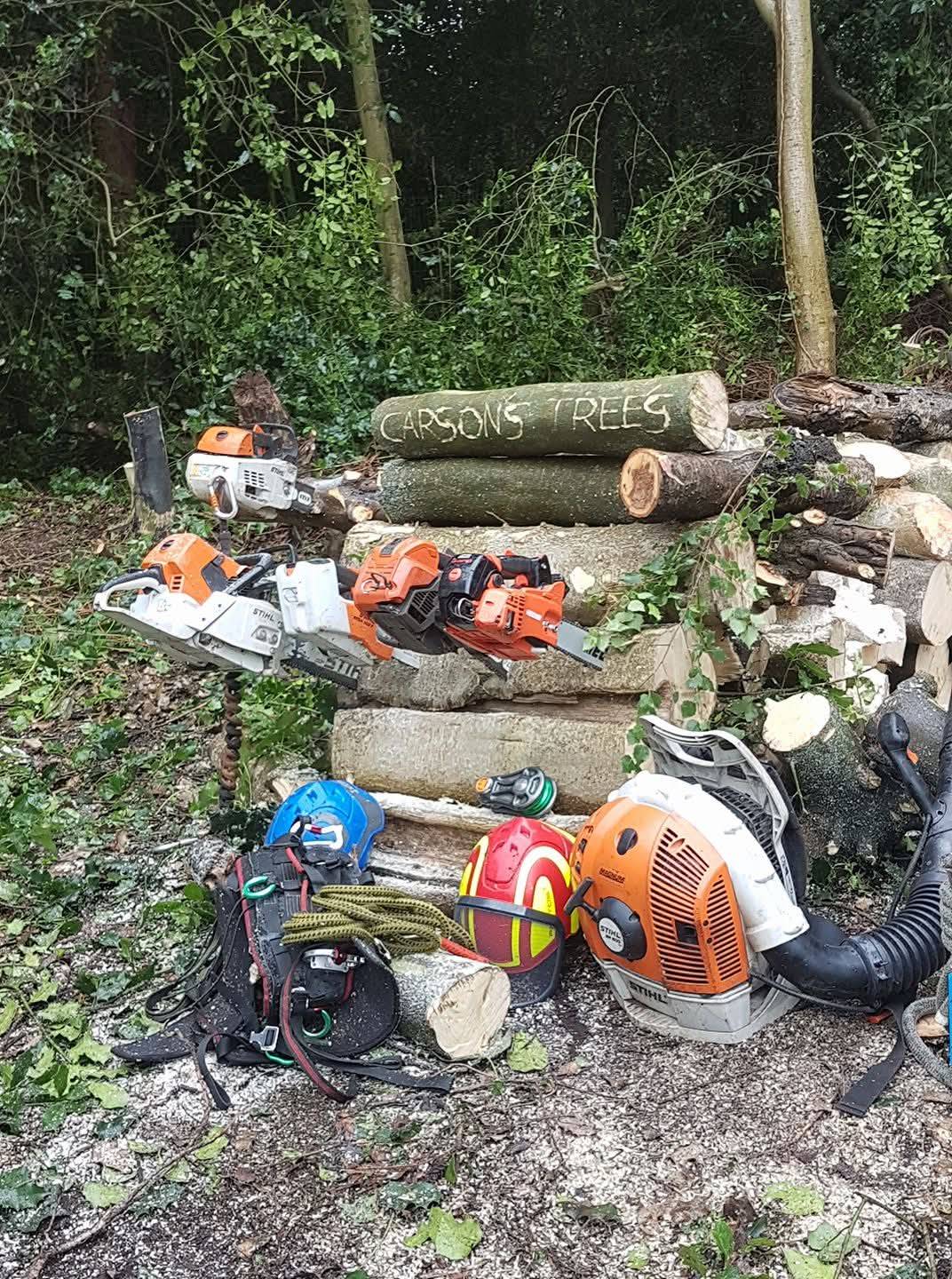Carson's Tree Services carved on a log